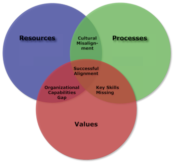Resources, Processes, Values
